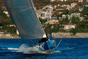 Reggata sailing