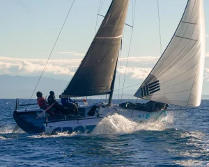 Reggata sailing