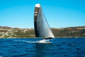 Reggata sailing